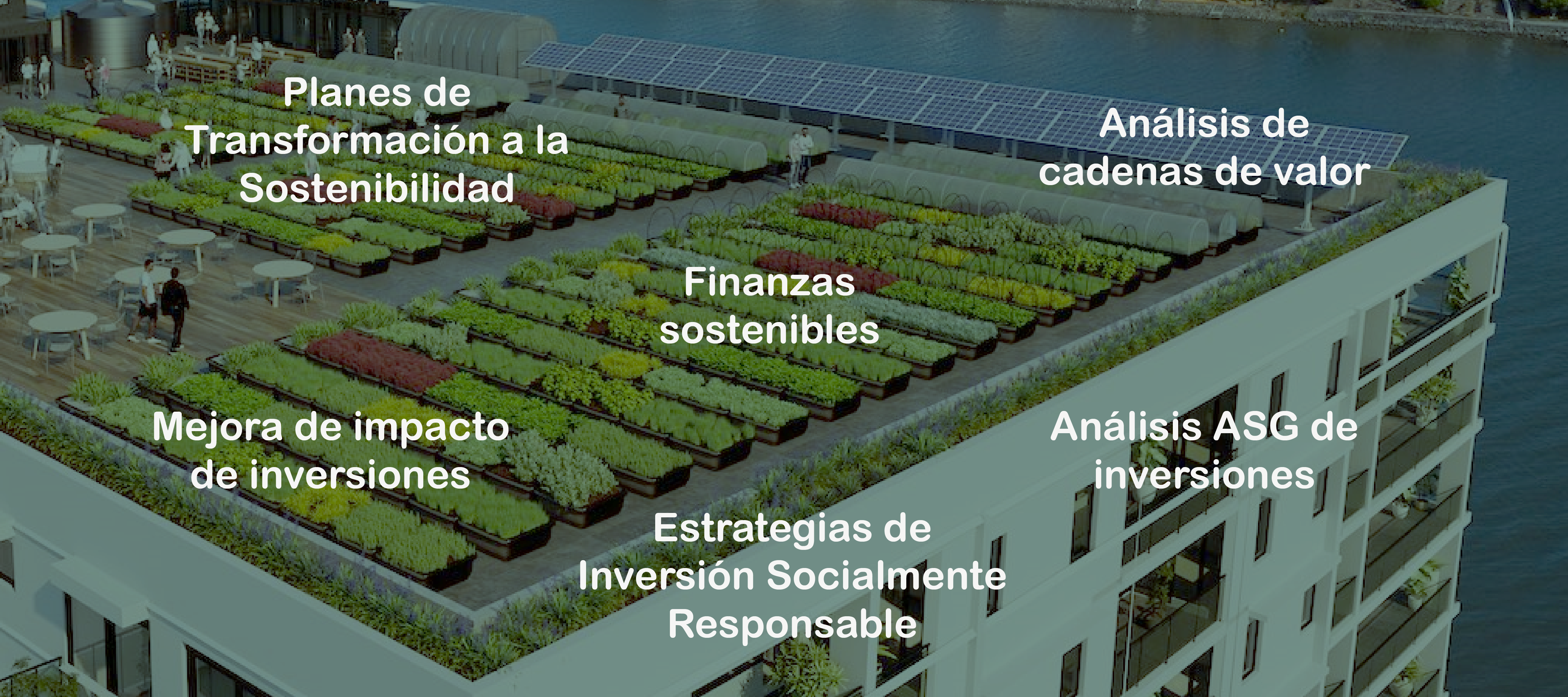 Modelos de sostenibilidad